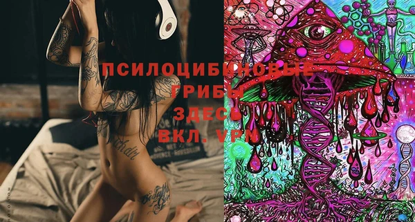 стаф Горно-Алтайск
