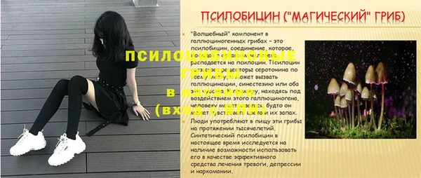 первитин Горняк