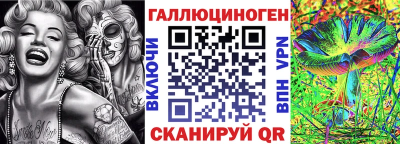 Псилоцибиновые грибы Psilocybe  Купить  Новотитаровская 